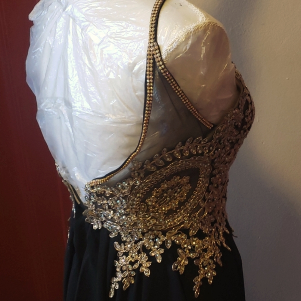 Cluster Sequin Embellished Bodice Flowy Chiffon Go - Picture 11 of 16